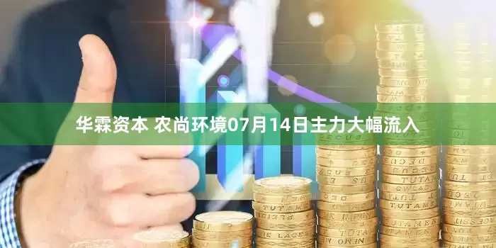 华霖资本 农尚环境07月14日主力大幅流入