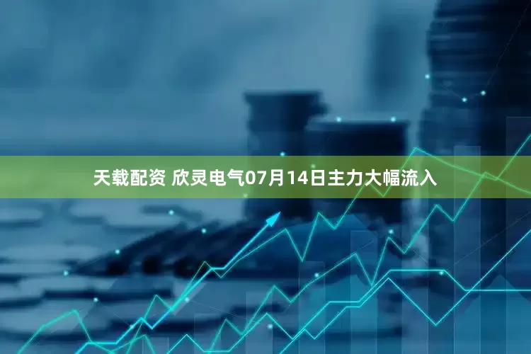 天载配资 欣灵电气07月14日主力大幅流入