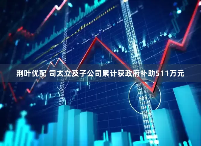 荆叶优配 司太立及子公司累计获政府补助511万元