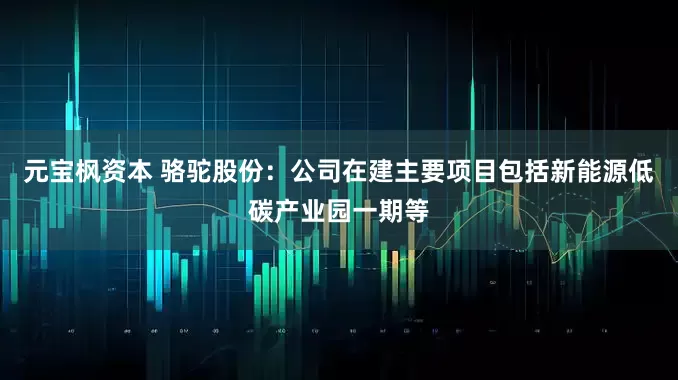 元宝枫资本 骆驼股份：公司在建主要项目包括新能源低碳产业园一期等