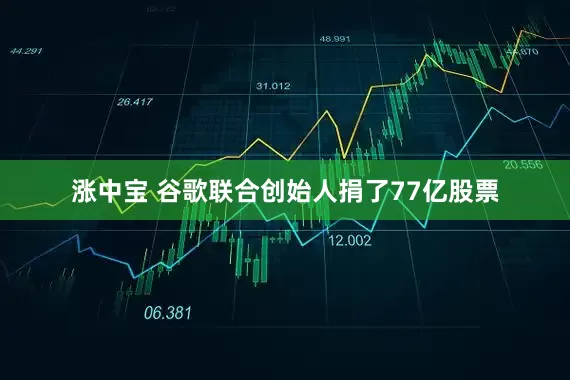 涨中宝 谷歌联合创始人捐了77亿股票