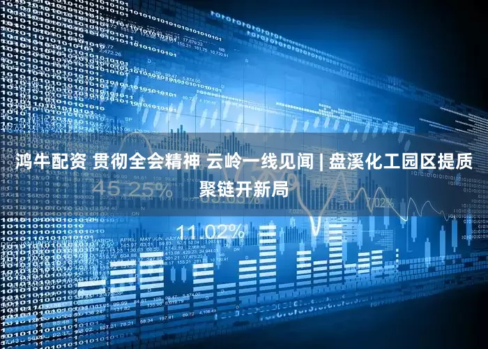 鸿牛配资 贯彻全会精神 云岭一线见闻 | 盘溪化工园区提质聚链开新局